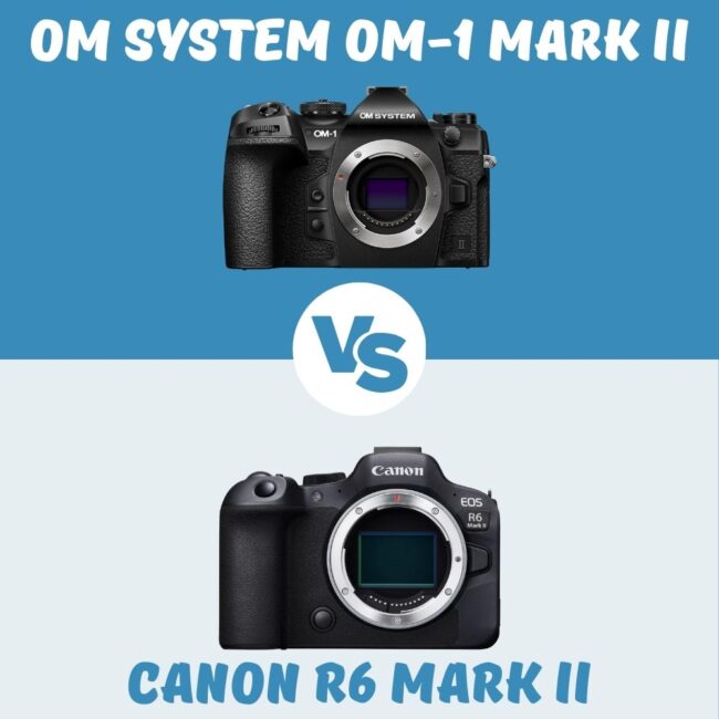 om system om-1 mark II vs canon r6 mark II comparaison