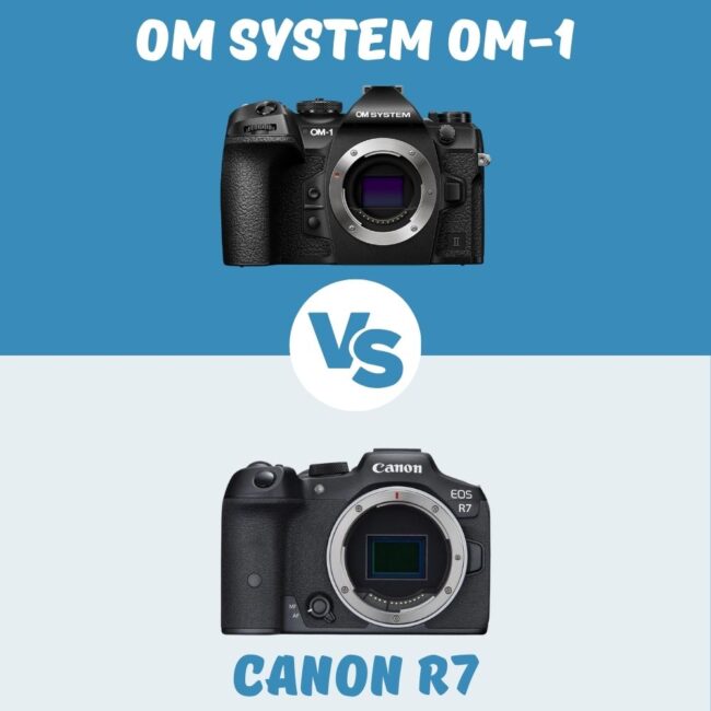 om system om-1 vs canon R7 comparison