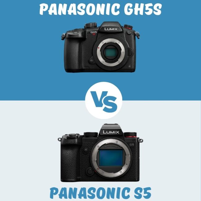Panasonic GH5S vs Panasonic S5 comparaison