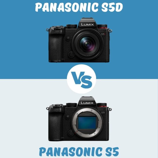 Panasonic S5D vs Panasonic S5 comparison