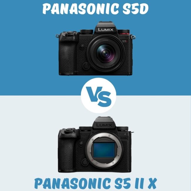 Panasonic S5D vs Panasonic S5 II X comparison