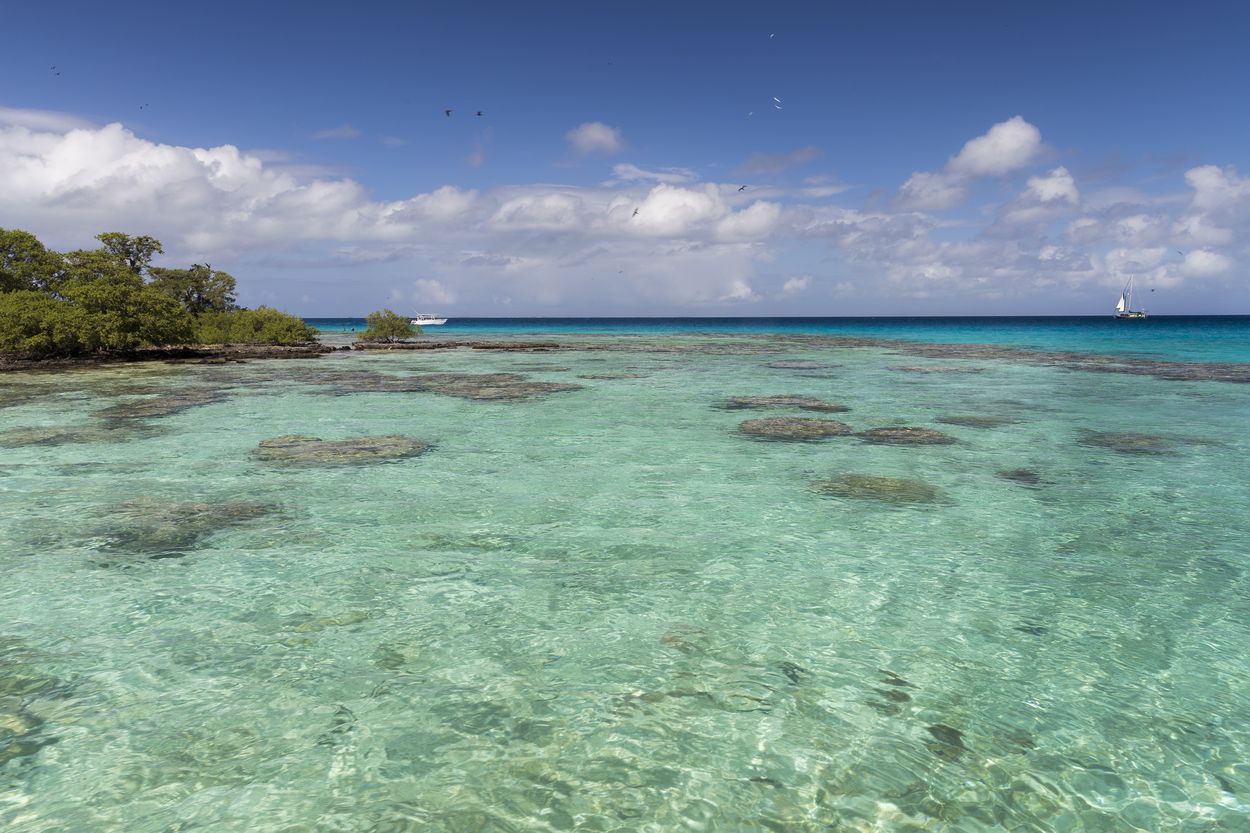 plage de polynésie tikehau