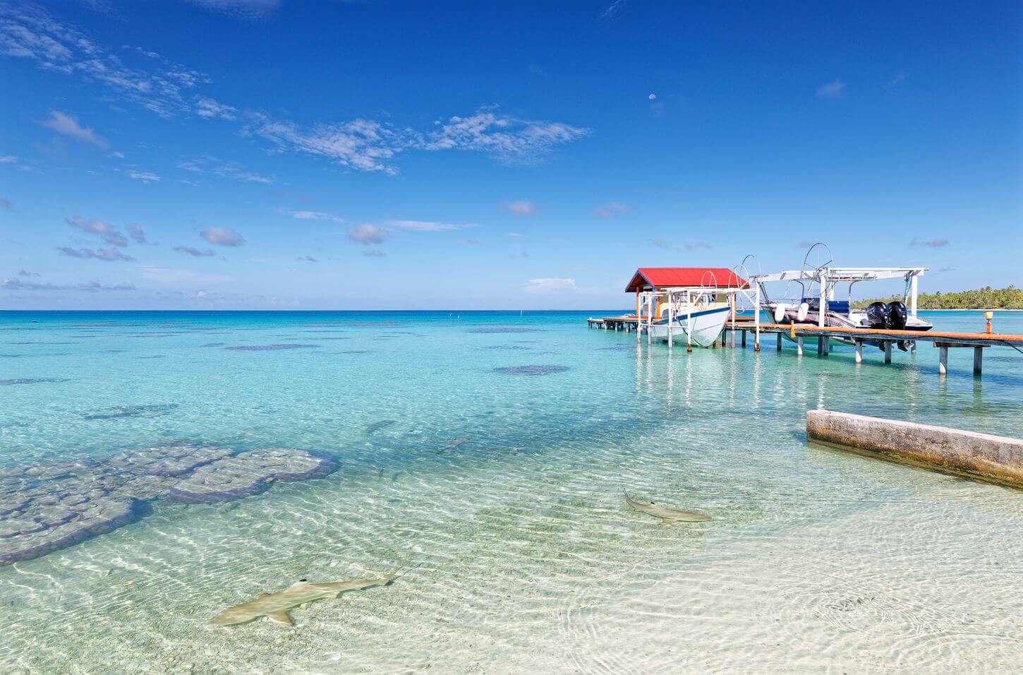 discover polynesia on a honeymoon tailor-made trip to the heart of the lagoon