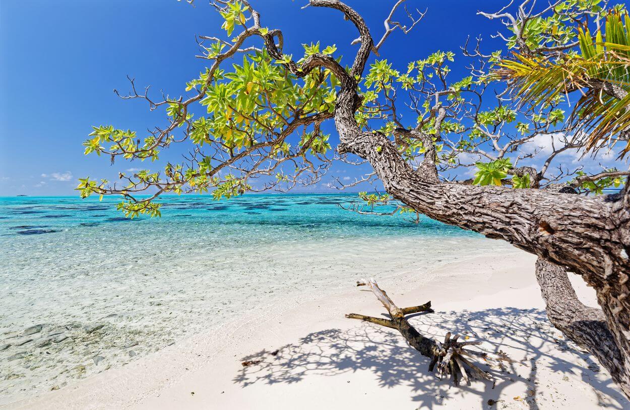 Personalised itinerary in the heart of the lagoons tailor-made stay, a getaway in harmony with the ocean