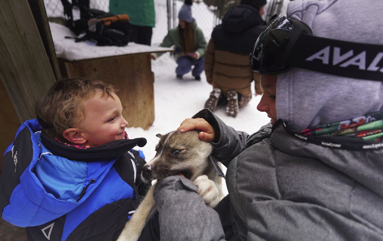 les enfants au chenil chenil à l'arrivée