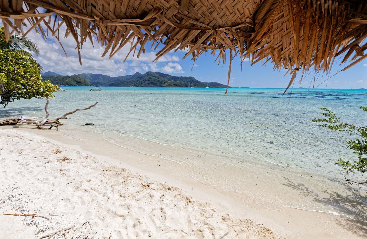 your tailor-made getaway in polynesia tailor-made holidays, moments of escape in the pacific
