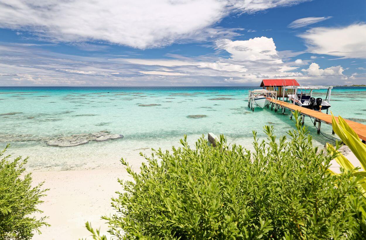 personalized trip to the dream islands tailor-made tropical immersion