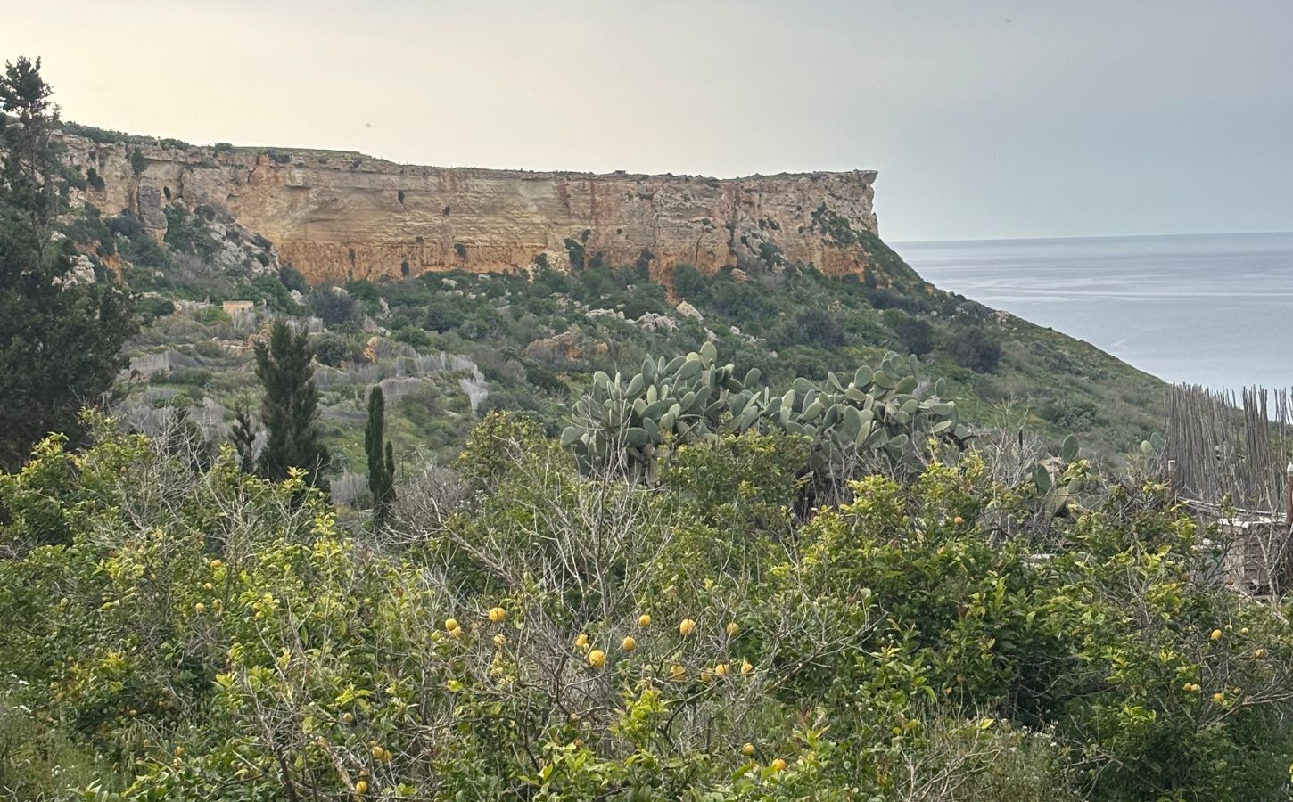 paysages gozitains un peu de verdure sur l'île de gozo