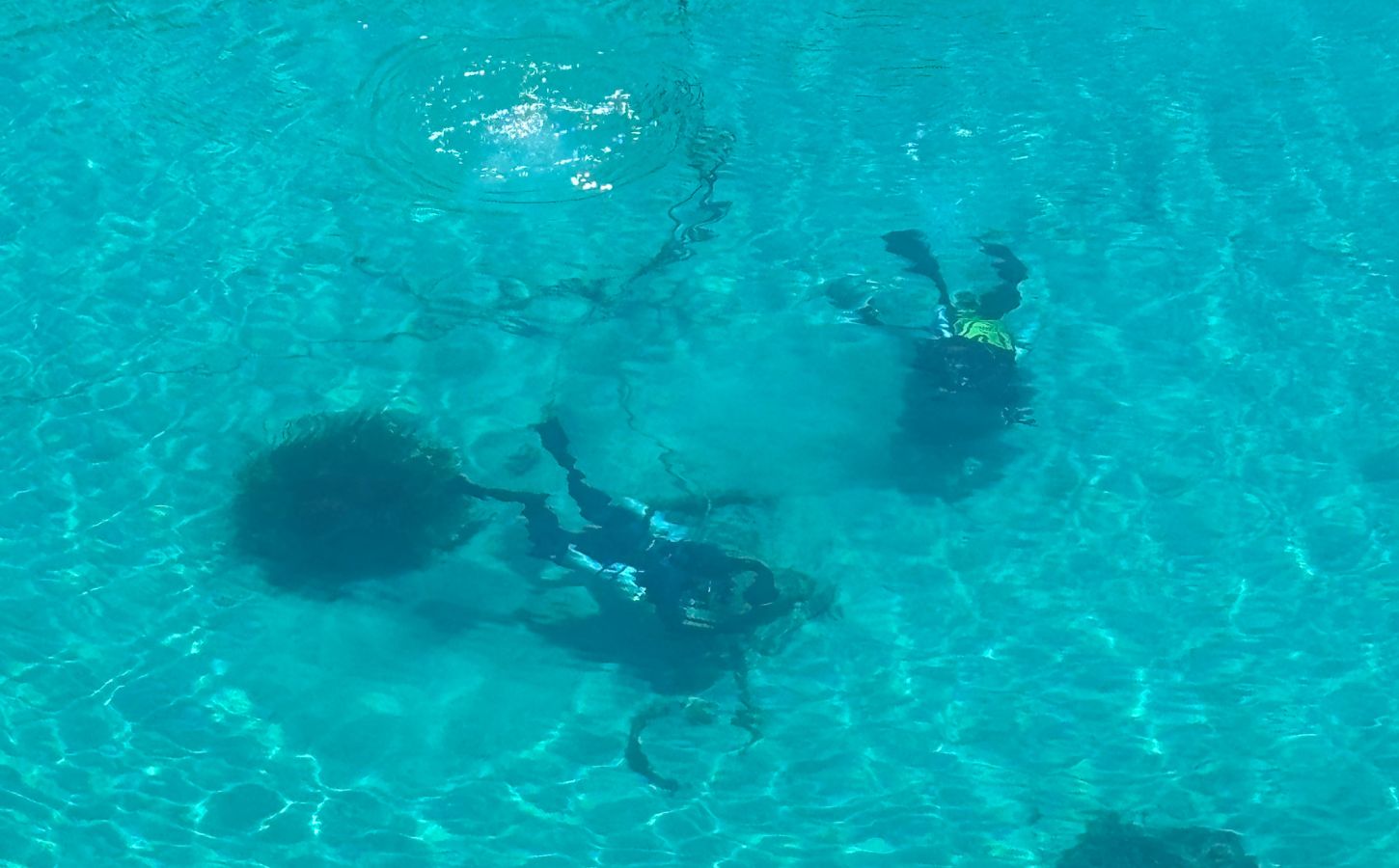 diving in Malta scuba diving in malta
