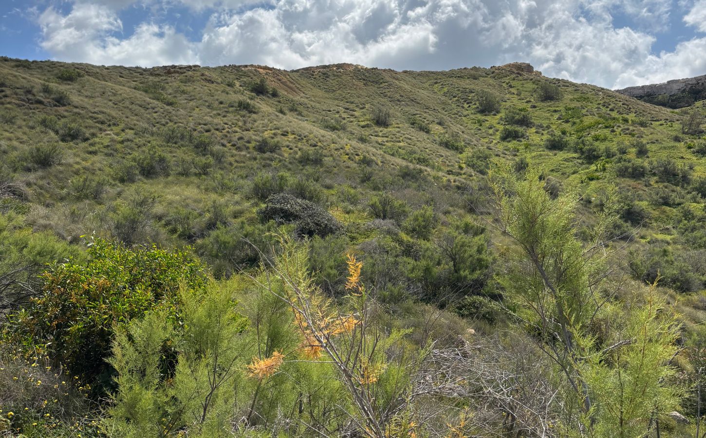 Majjistral Nature and History Park auf Malta wandern auf malta