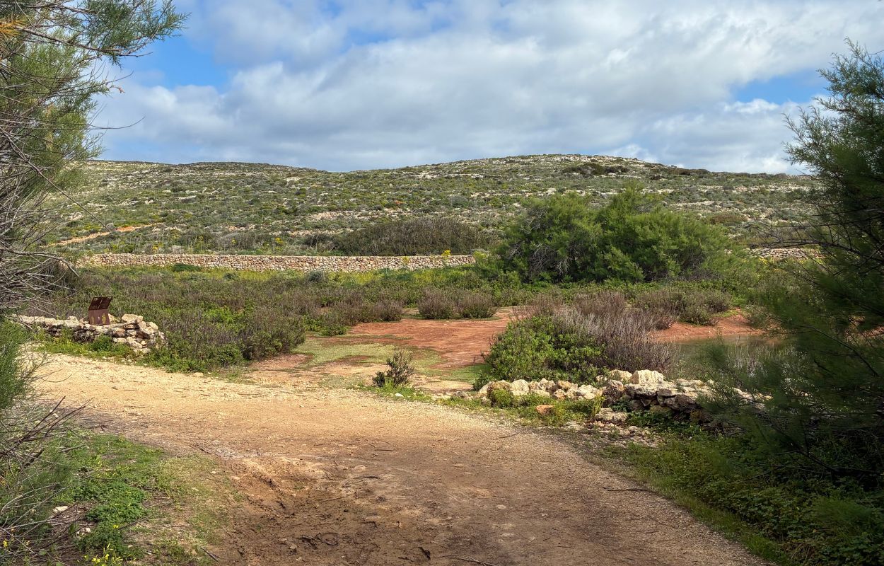 Comino zu Fuß erkunden wanderwege in comino