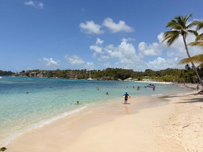 white sand beach of the caravelle saint-anne guadeloupe