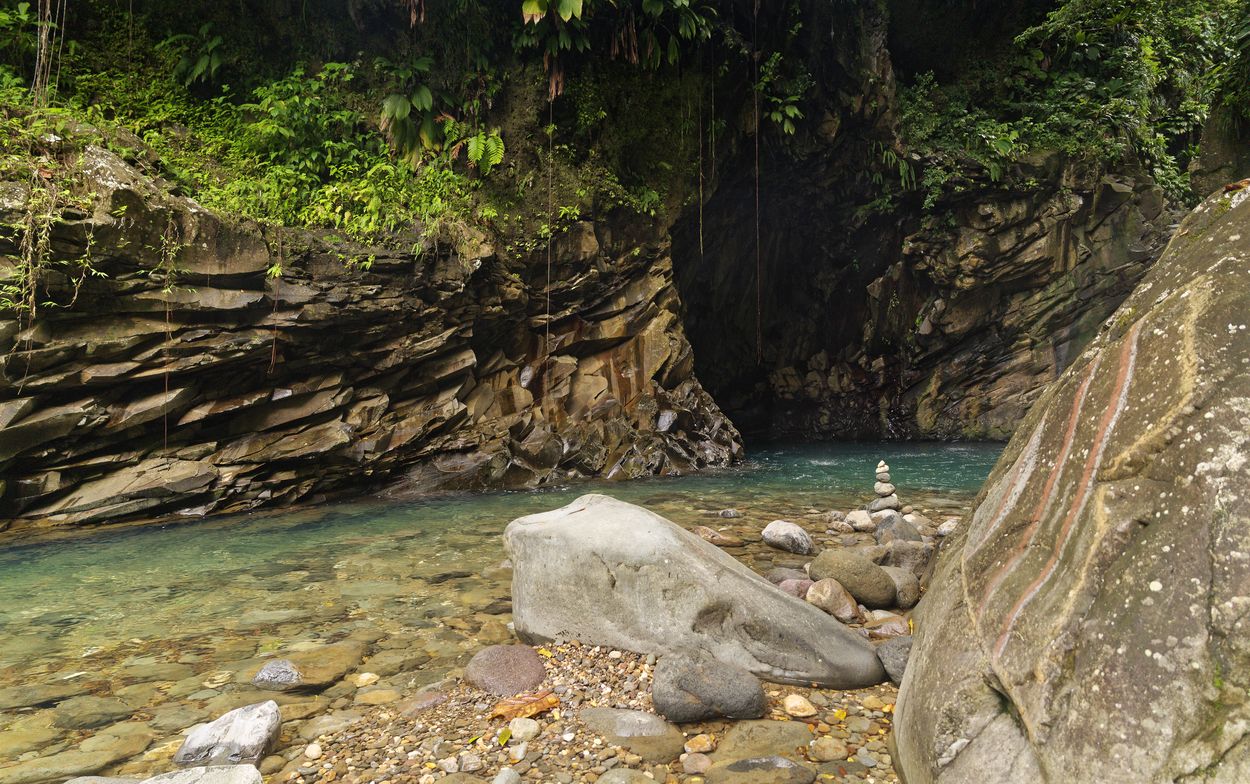 Paysage riviere foret tropicale Guadeloupe Ambiance sauvage près de la cascade
