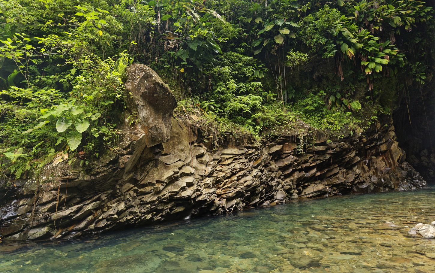 Riviere cristalline roches basaltiques Paroi rocheuse rivière Matouba