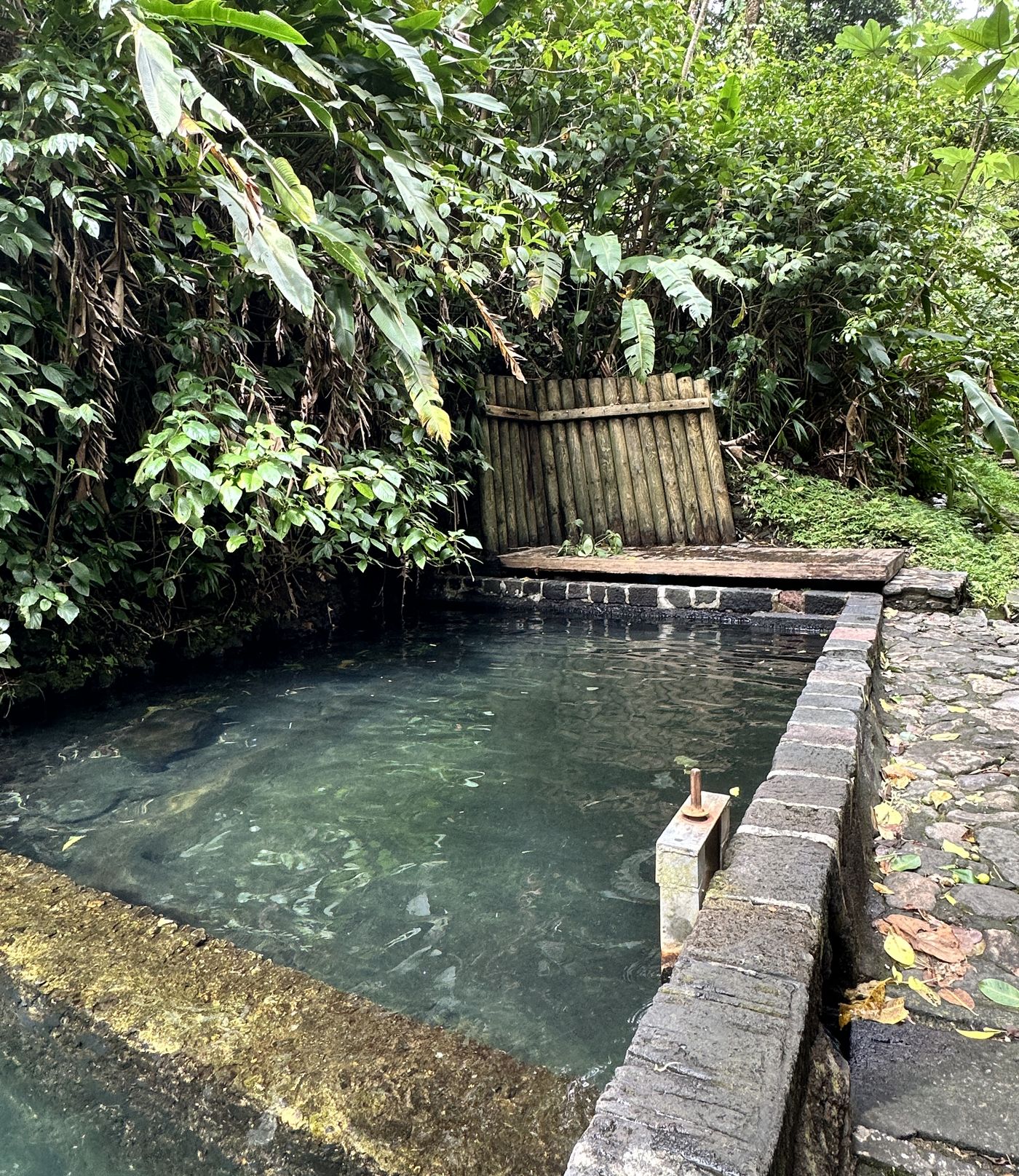 bains jaunes guadeloupe bains jaunes soufrière