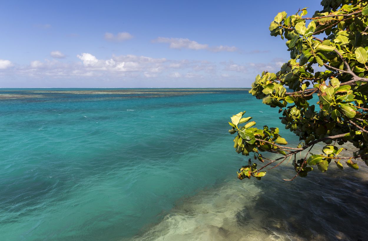 eau turquoise maupiti belle eau à maupiti