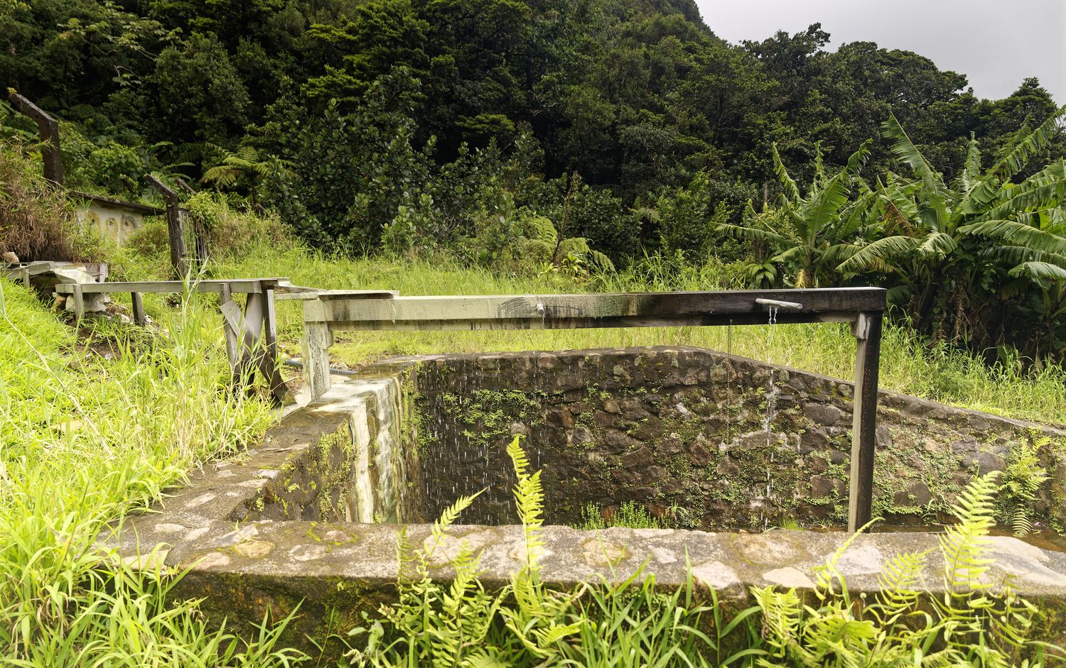 matouba baths hot springs matouba