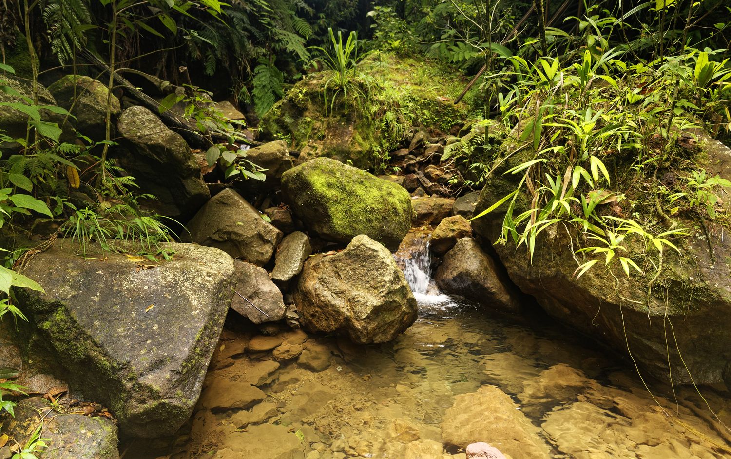 hot ravine matouba hot ravine in matouba