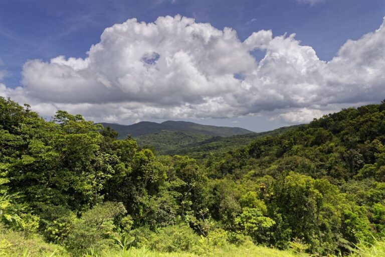 staying in Guadeloupe on Basse-Terre basse terre where to stay