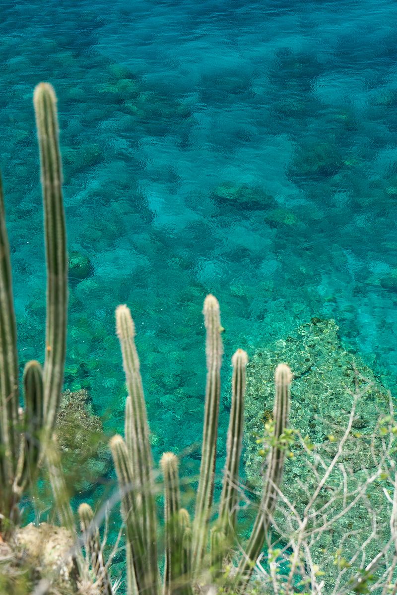 turquoise water petite malendure turquoise water in bouillante
