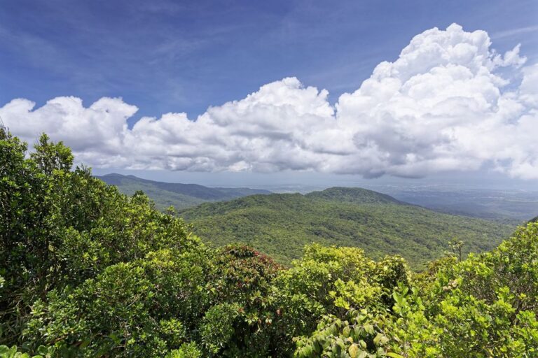 logements originaux guadeloupe logement en guadeloupe