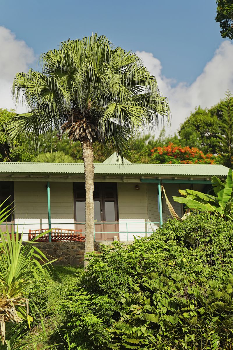 lodge dans la nature habitation lodge