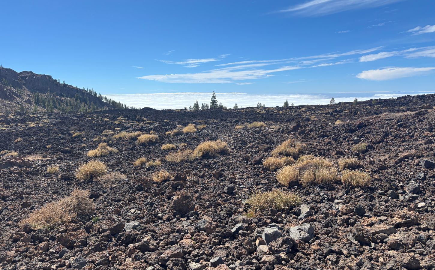 Lavafelder am Teide besuch im nationalpark teide teneriffa