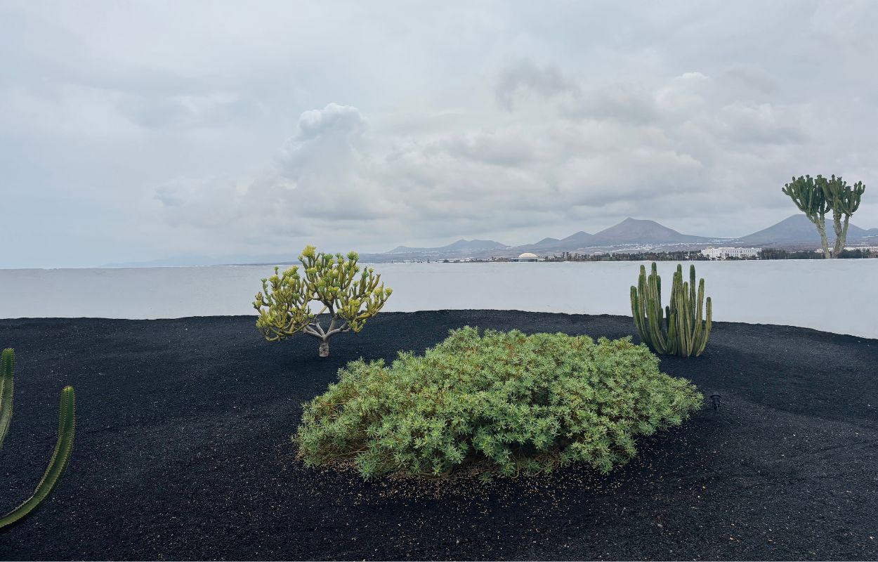 islote fermina en arrecife spot en arrecife