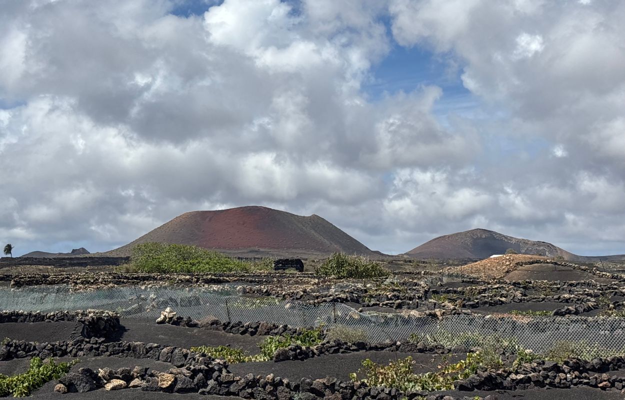 La Geria Weinberge tal von la geria lanzarote