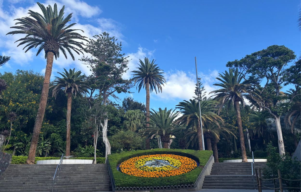 parque de santa cruz tenerife pasear por santa cruz de tenerife