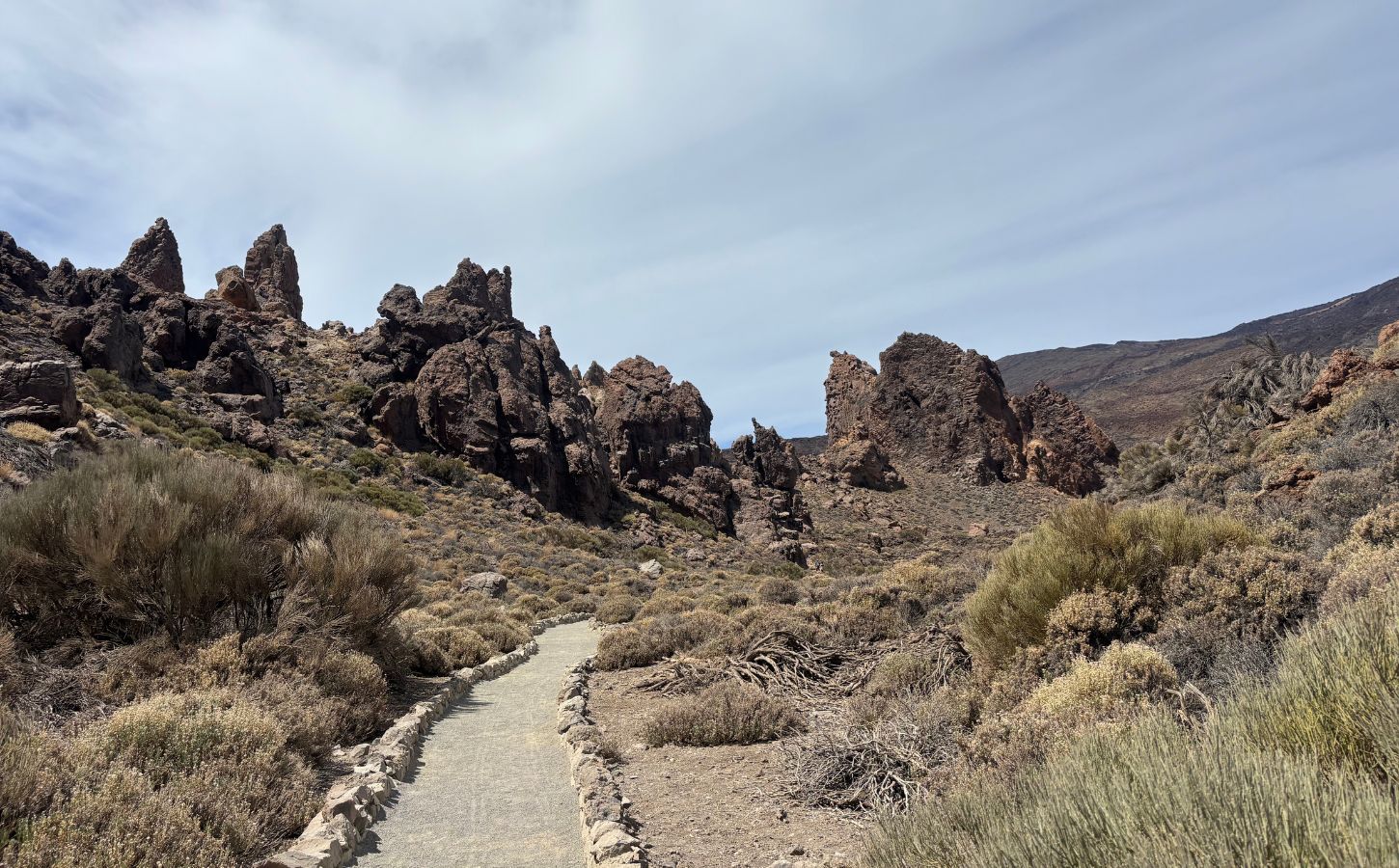 Nationalpark Teide auf Teneriffa klippen und felsen im teide-nationalpark