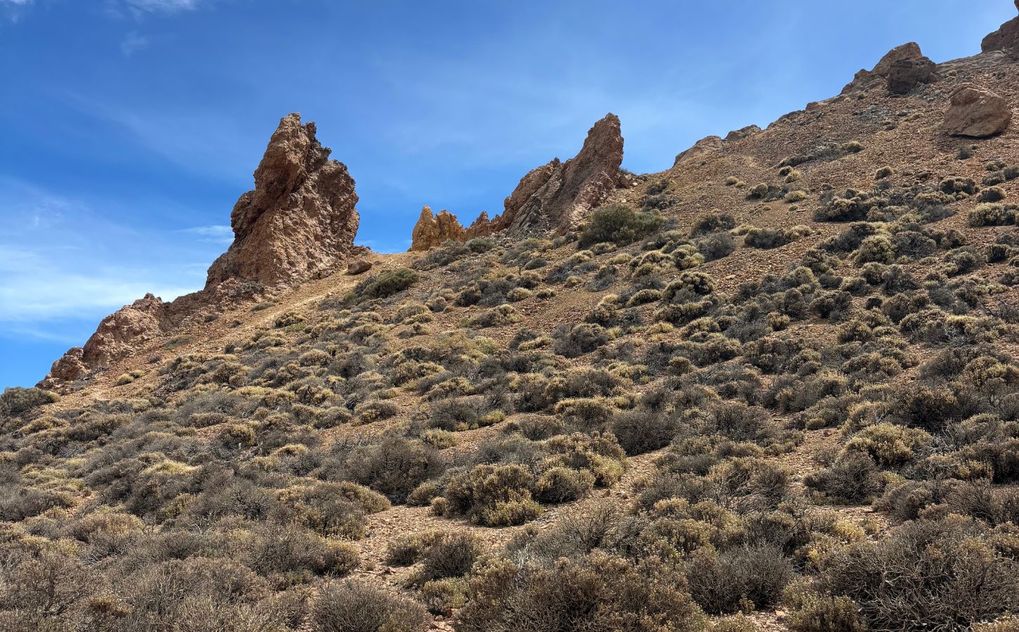 Wanderung im Teide-Nationalpark roques de garcia auf teneriffa
