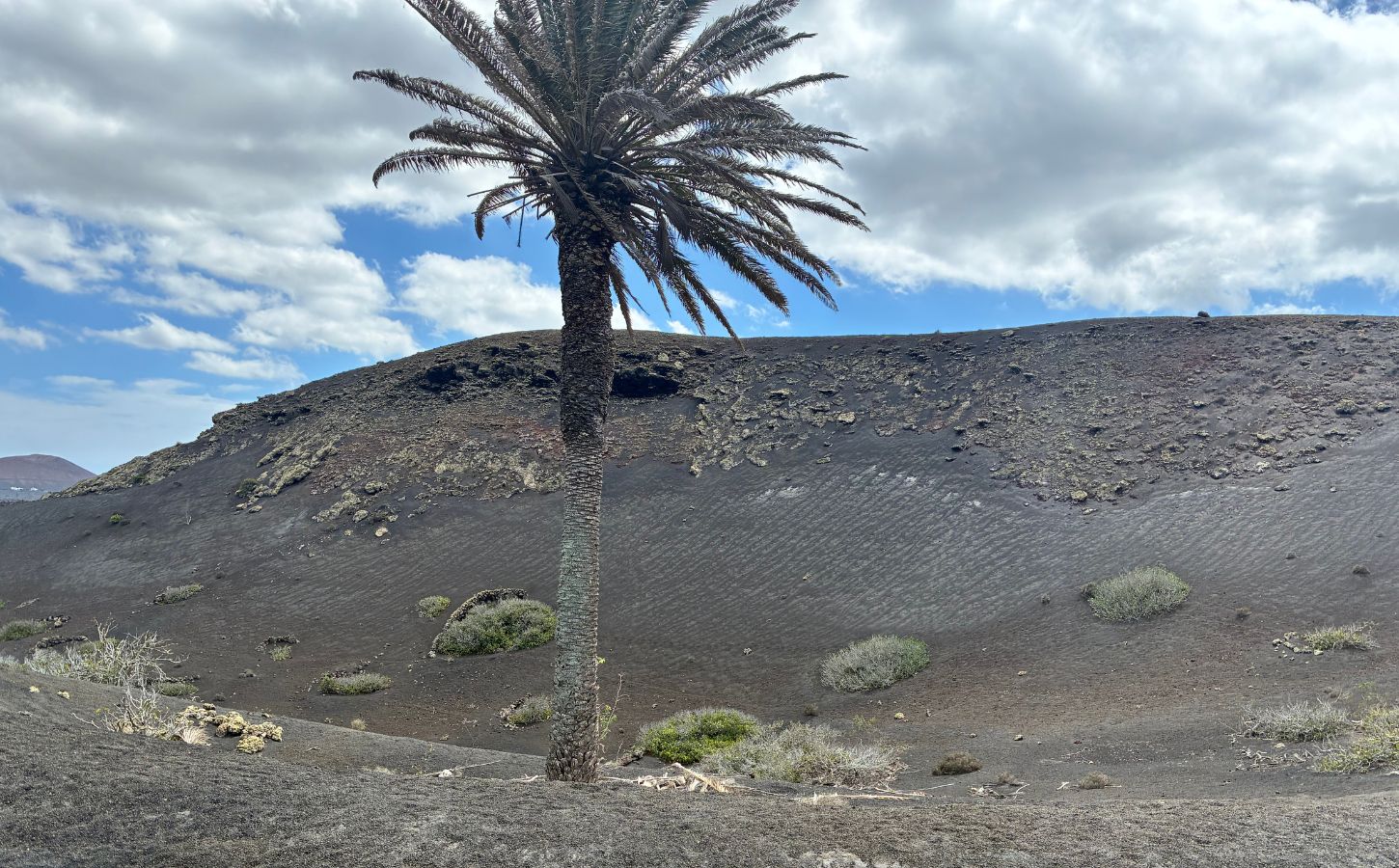 montaña negra hike hiking trail in lanzarote