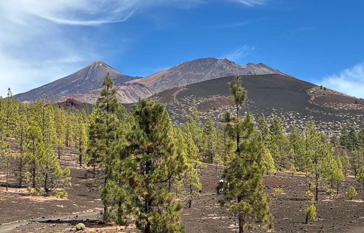 Wanderung Samara am Teide pico viejo und gipfel des teide