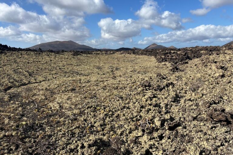 randonnées lanzarote quelle randonnée choisir à lanzarote