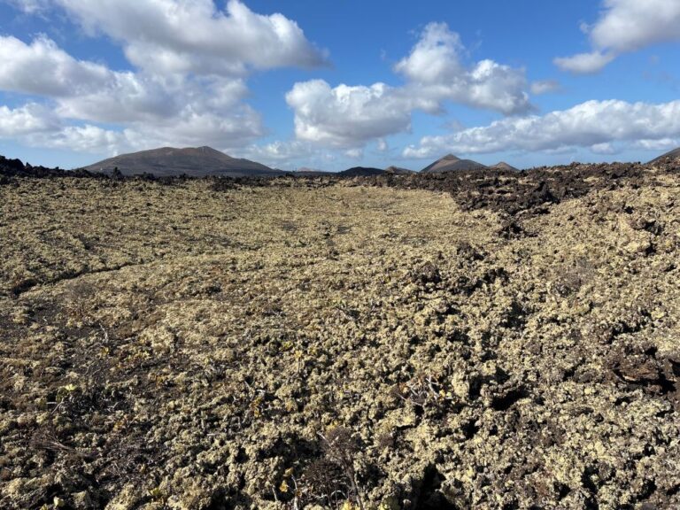 randonnées lanzarote quelle randonnée choisir à lanzarote