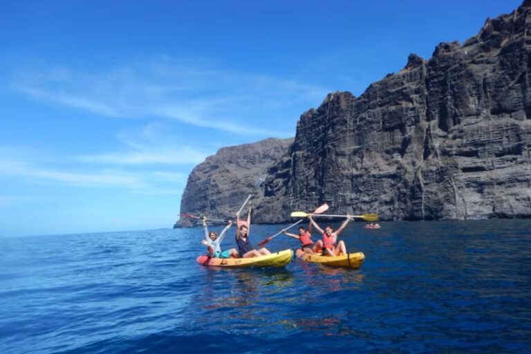 excursion kayak à tenerife excursion vers los gigantes en kayak