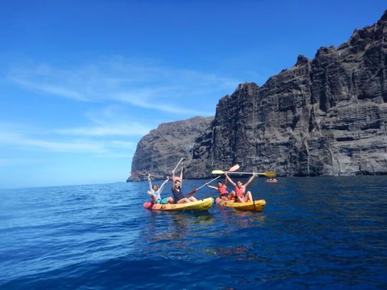kayak trip in Tenerife kayaking trip to los gigantes