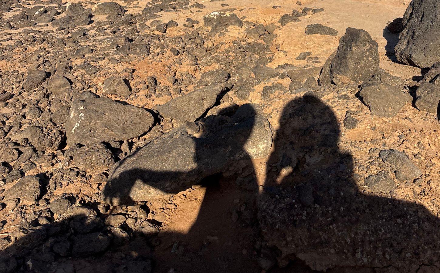 Quadfahren auf Lanzarote aktivitäten auf lanzarote