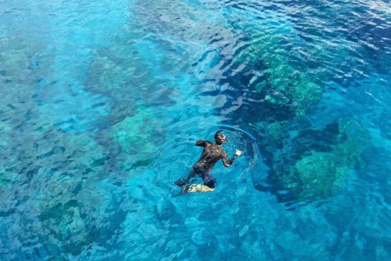 faire du snorkeling aux canaries snorkeling à tenerife