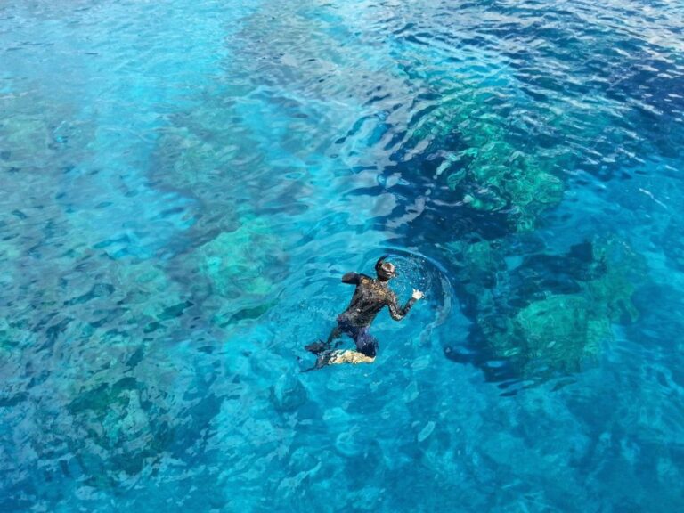 snorkel in the Canary Islands snorkeling in tenerife