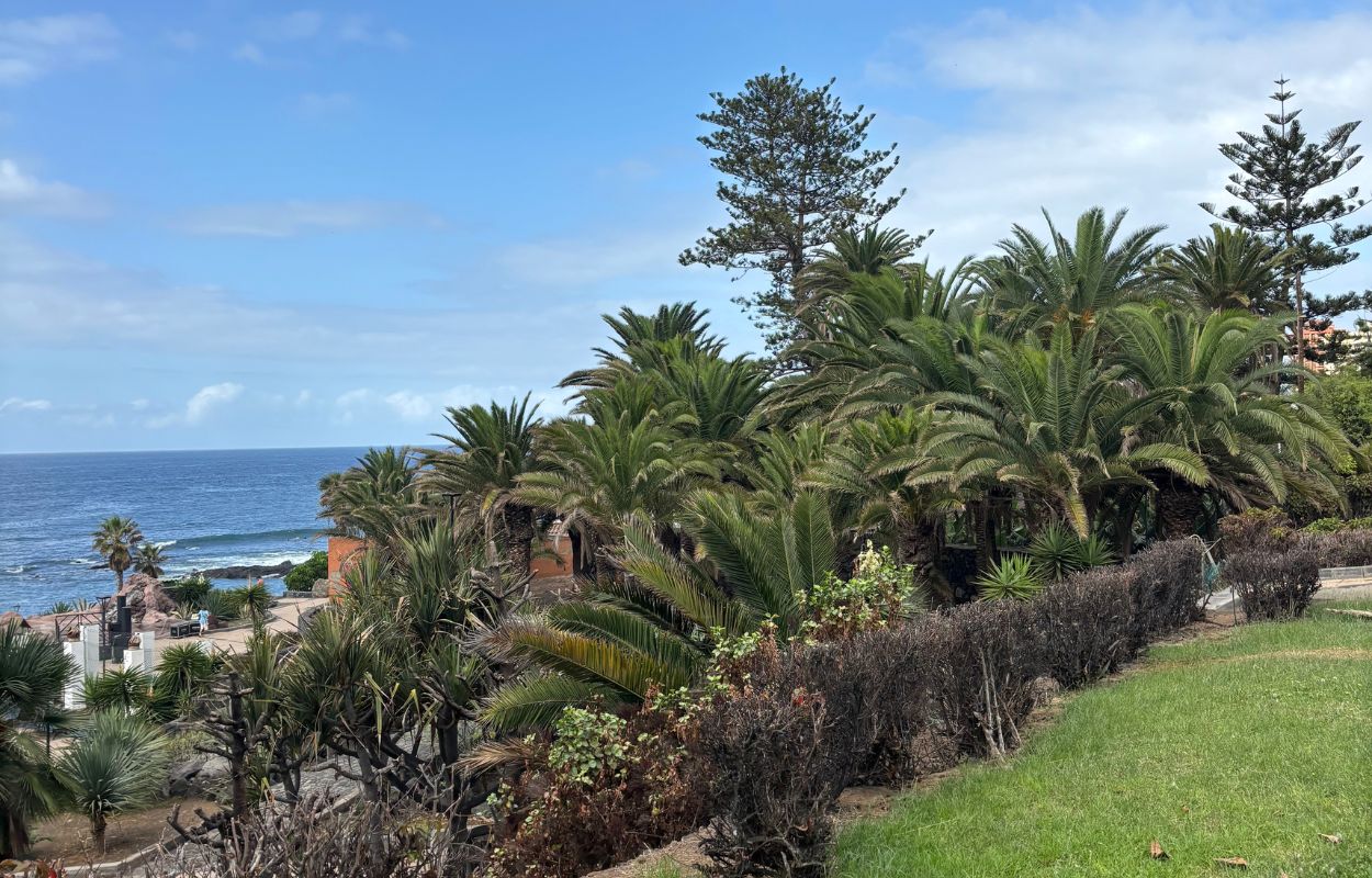 end of the calima in Tenerife tropical seaside landscapes