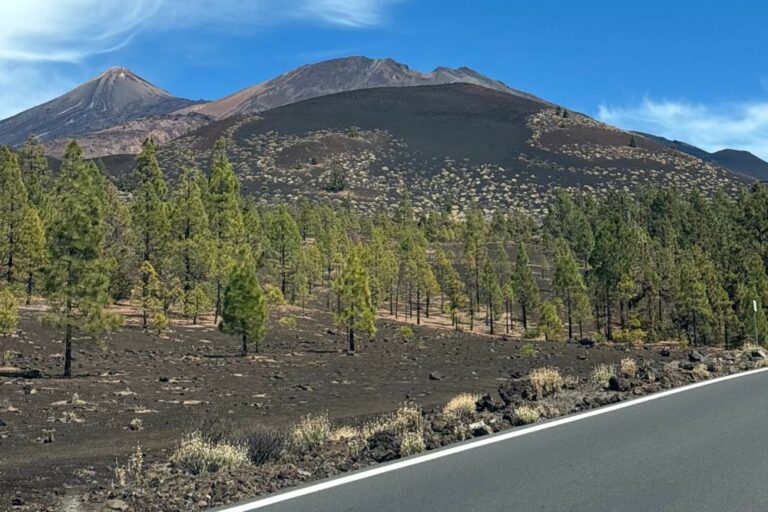 idée itinéraires tenerife sur les routes du teide