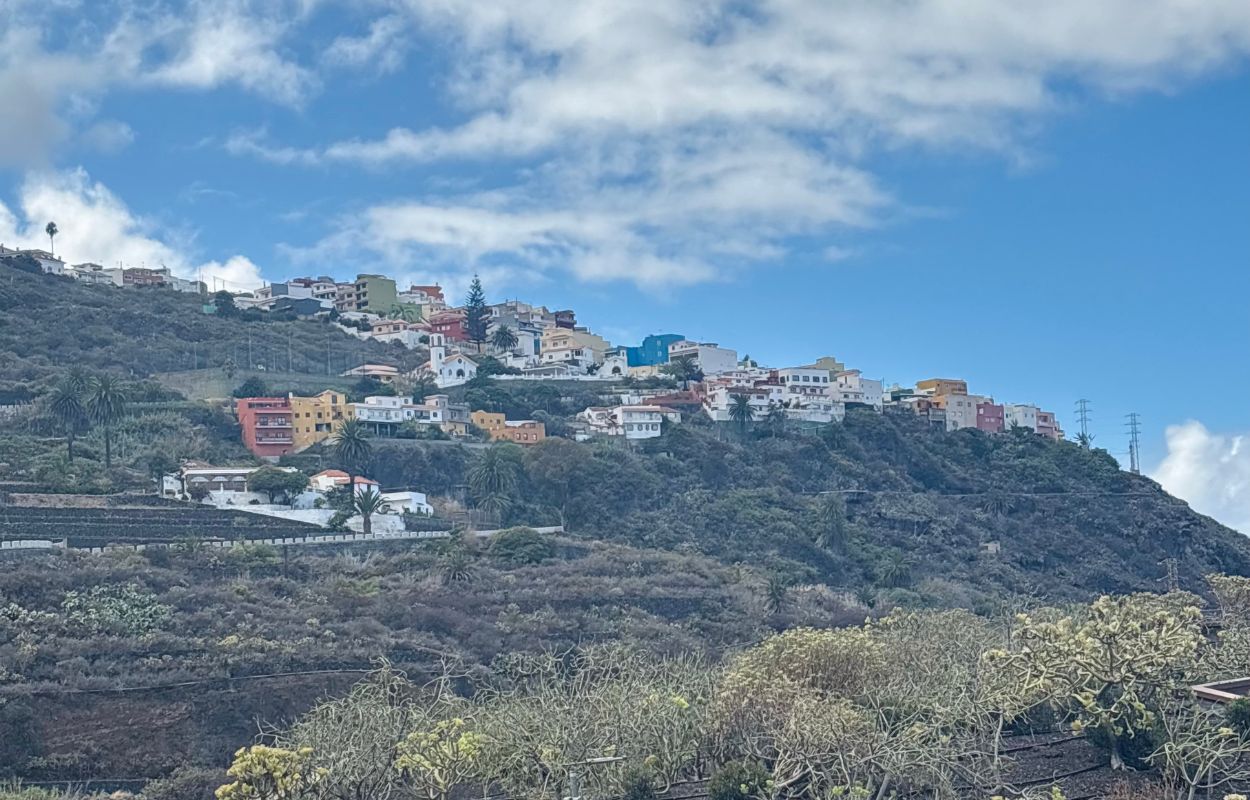 colorful houses in icod de los vinos hilltop village