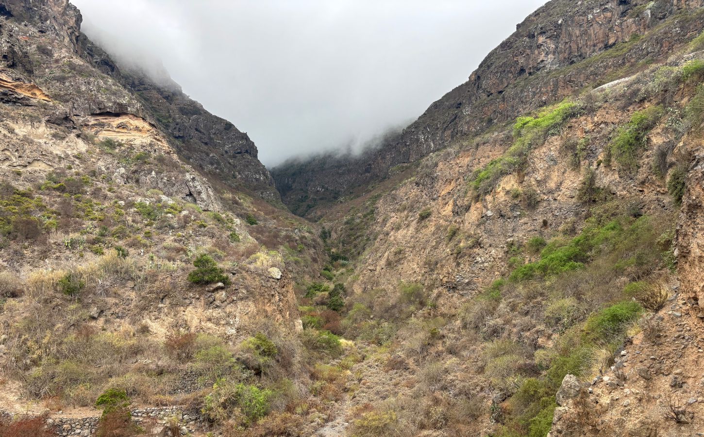 best times to visit tenerife when to go to tenerife