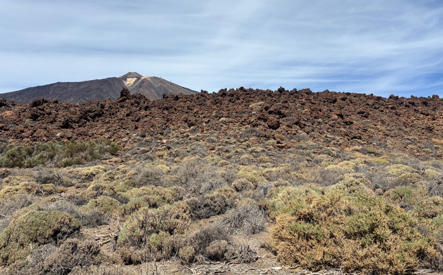 paysages avec le sommet du teide aller au volcan du teide