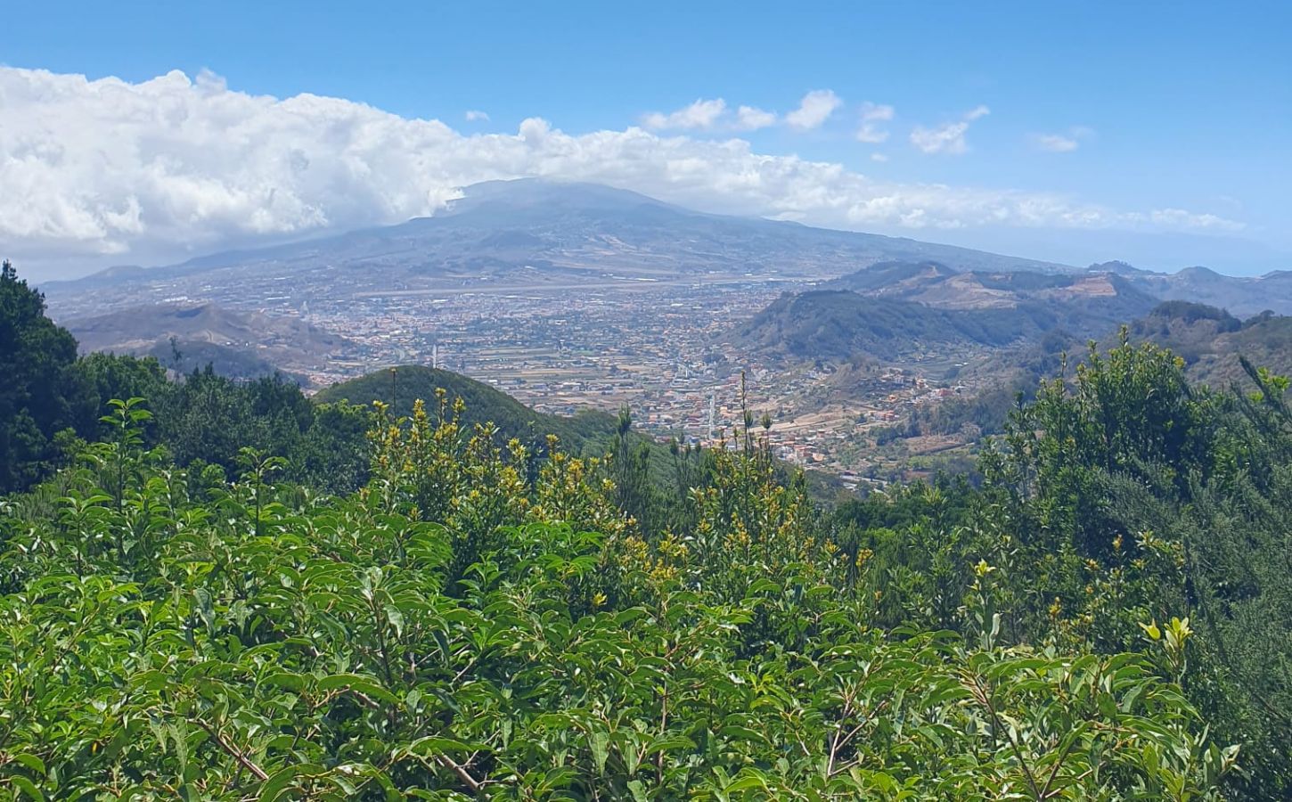 Wandern in Anaga Teneriffa landschaftspark von anaga