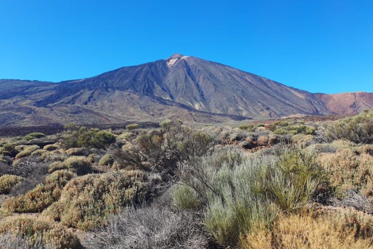 top incontournables tenerife que faire a tenerife
