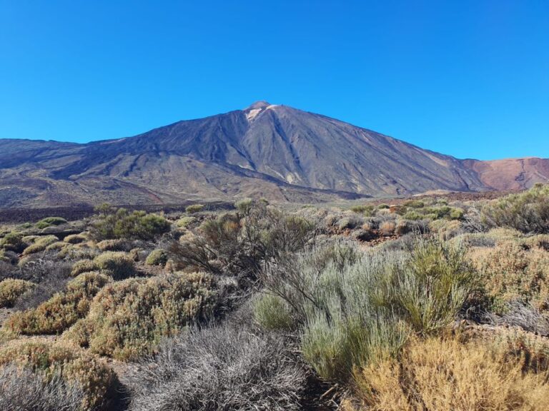 Top must-sees in Tenerife what to do in tenerife