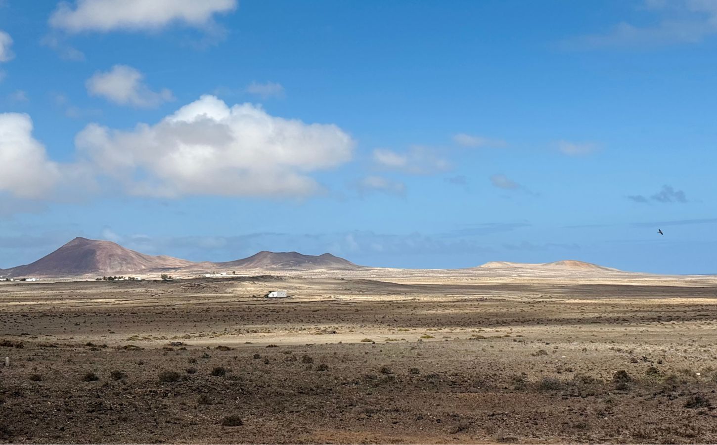 choose dates to visit Lanzarote when to go to lanzarote